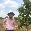 손종순농장 이미지