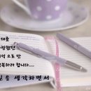 연일순대 이미지