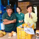 일소