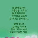 나주낚시 Daum카페