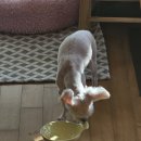 [일상] 골골대는 일상으로 돌아왔습니다.. | 11월 넷째 주 | 대학원 2학차 12주