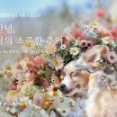 포라니