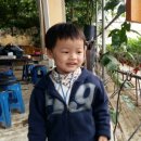 창수어린이집 이미지