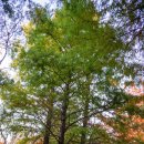 부평공원 이미지