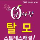큐사랑염색방 네이버블로그