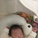 르웰유여성의원 네이버블로그