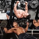 빈센트 핏 이미지