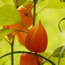 보육교사론 이미지