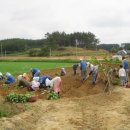 법산연꽃마을 이미지