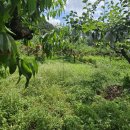 수청리농장 이미지