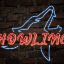 트레이닝 박스 하울링 이미지