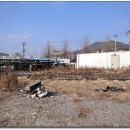 우체국관사 옆 이미지