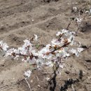 개화농장 이미지