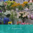 스위트드림플라워성신여대입구역