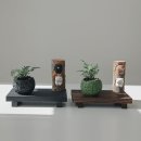 스톤플랜트