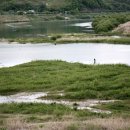 비내길 1구간 이미지