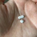정자역약국 | 아포퀠 취급 동물약국 및 구매후기(광고아님 내돈내산...아토피,강아지가려움증, 강아지 피부병,정자역약국