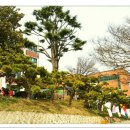향파로
