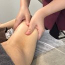 살롱 드 비숑 이미지