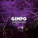 동산주유소 | 김포 계양천 벚꽃길 야간 드라이브 후기 김포 벚꽃명소 데이트 벚꽃축제 일정 주차 정보