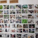 청아농장 이미지