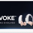 정직한 보청기 이미지