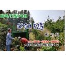 영림벌목