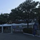 2019 부산 태종대 수국축제 미리 다녀오기(실시간 후기, 🌼)