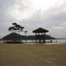 당나루물꽃승마마을영농조합법인 이미지