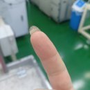 네일데이션 네이버블로그