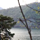 마로니에 태양광발전소 이미지