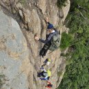 응봉농장 이미지