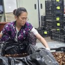 화랑농장 이미지