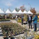 꽃과나무 이미지