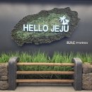 하늘바이오 | 제주도 비행기 보조배터리 승인 기준 &amp; 제주공항 바이오등록 실제 후기 (1박 2일 여행 꿀팁)