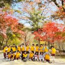 다우림명문유치원 이미지