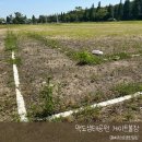 사강리 동네체육시설 게이트볼장 | 15분도시 부산/ 맥도생태공원 게이트볼장