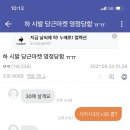 디씨마켓
