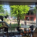 햇살미용실 | 종각역미용실 인생 펌 맛집! 여름맞이 빈티지펌 후기