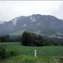 무풍주유소 이미지