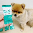 주식회사 제이에스토리 | 강아지 영양간식 닥터웰릿 J케어 관절 영양제 급여후기