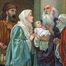 2023년 12월 29일 금요일 (백) 성탄 팔일 축제 제5일『성전에서 아기 예수님을 봉헌하다. 시메온의 예언』 이미지