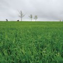 윤경농장 이미지