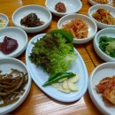 직송식당 - 동구 둔산로 7 | 직송식당