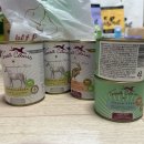 기프트 펫 | 2025 일산 킨텍스 펫페어 후기 이벤트 할인율높은 메가주부스추천 (11/22 방문)