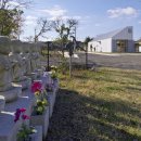 도그살롱 이미지