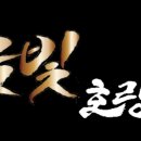 금빛 호랑이 태권도 이미지