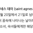 카페아그네스