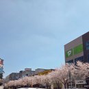 스타벅스 대구금호점