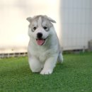 엘린펜션 이미지